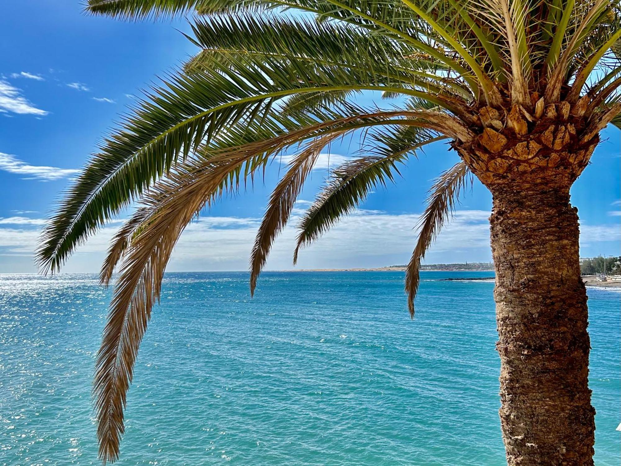 San Agustín Sobre El Mar Con Vistas A Las Dunas De Maspalomas מראה חיצוני תמונה